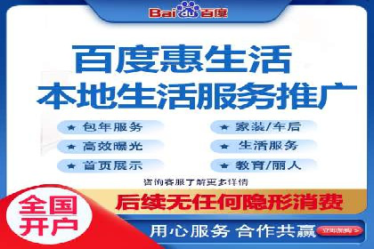大型SEM服务公司案例分析